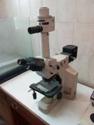 Polarizing microscope