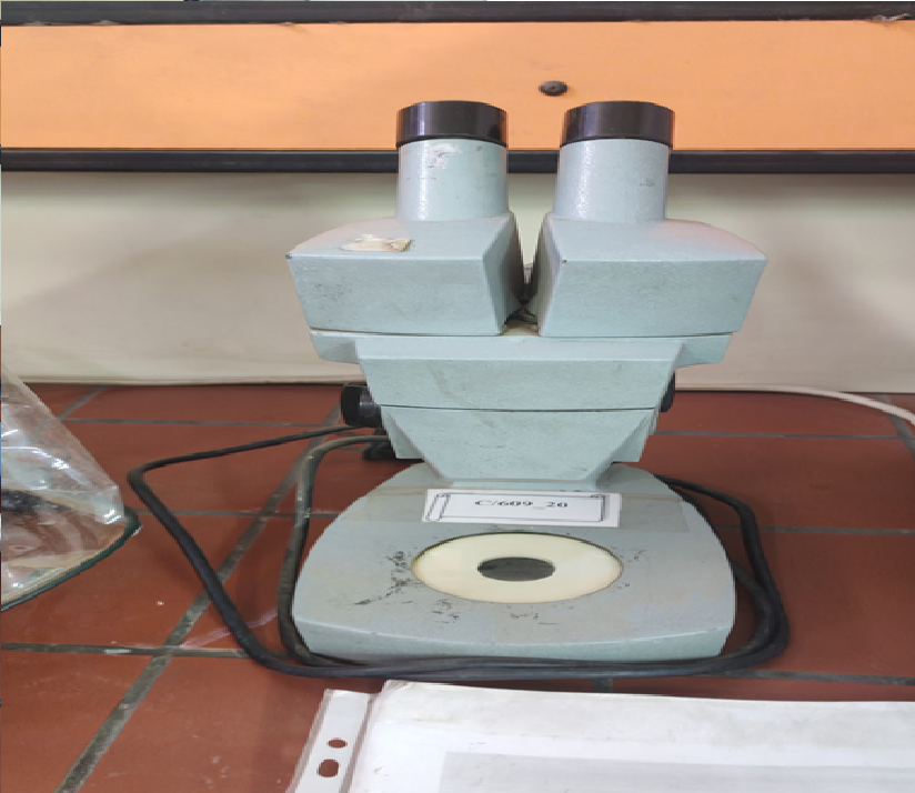 Microscope