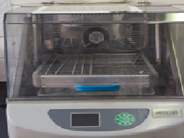 Shaking incubator BSH3535