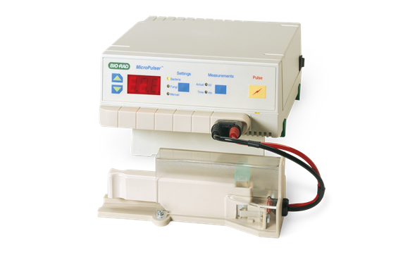 Micropluser electroporator