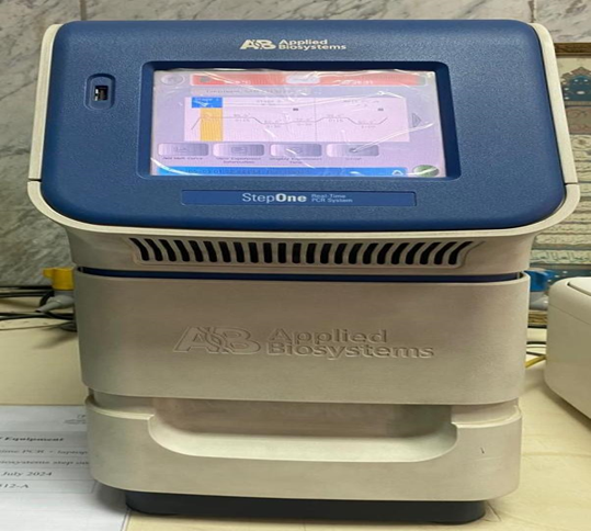 "Real-time PCR "