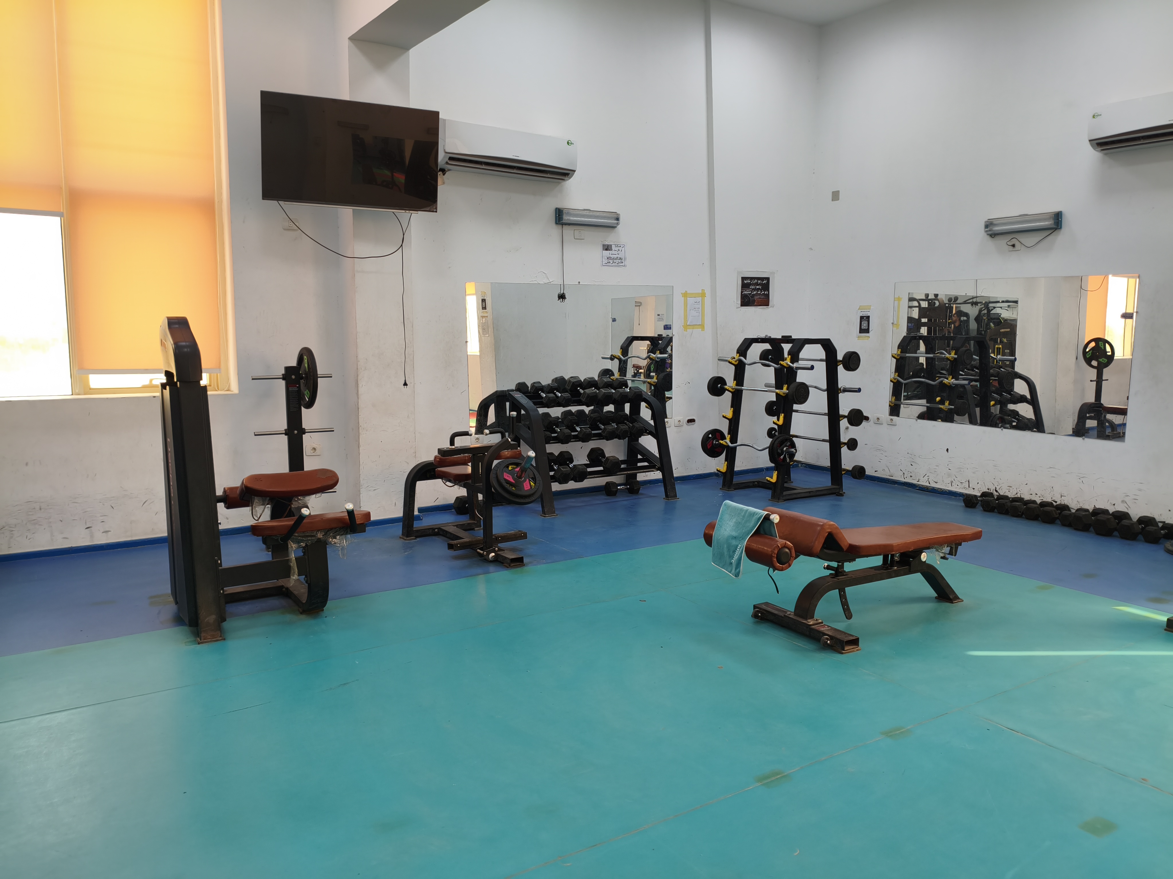 Lying Leg Curl and Seated Calf Raise