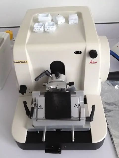 Microtome