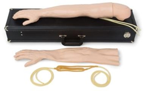 Multi-Venous IV Training Arms.