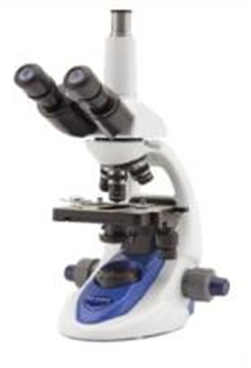 Trinocular brightfield microscope.