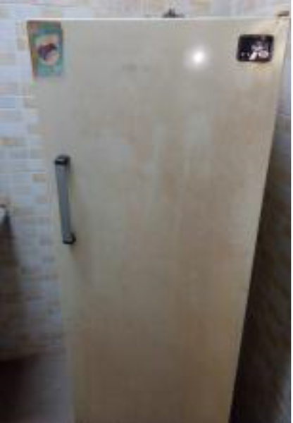 Ideal 10 foot refrigerator