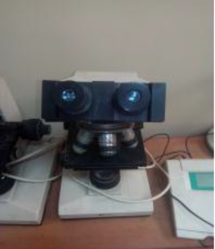Binocular Microscope
