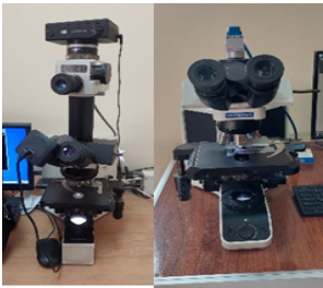 Digital light microscope
