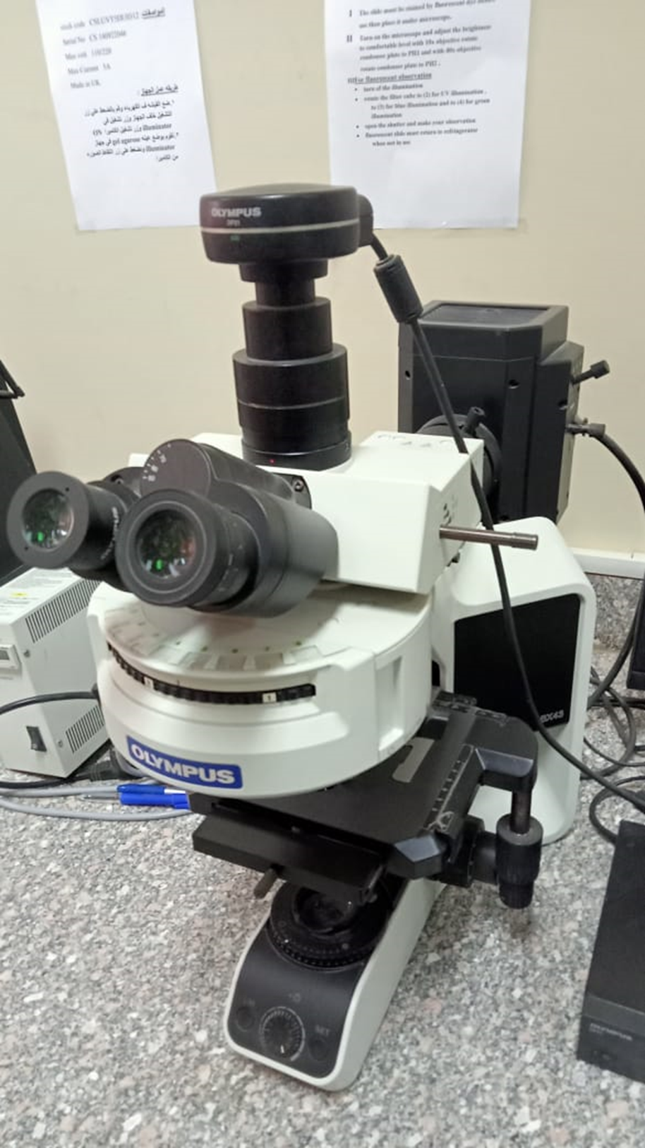 fluorescent microscope 