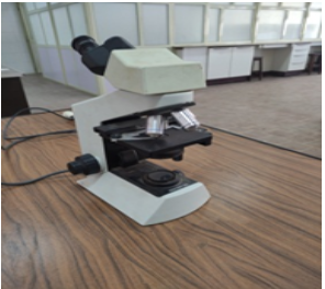 OLYMPUS CX21 COMPOUND BINOCULAR MICROSCPE