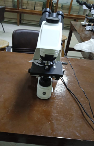 Binocular microscope