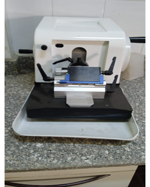 Microtome  2258 BK
