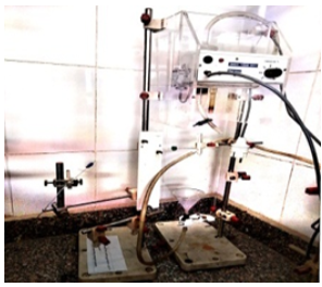 Isoletedperfused langendorf