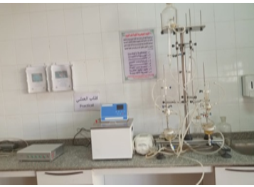 Langendorf isolated organ system 