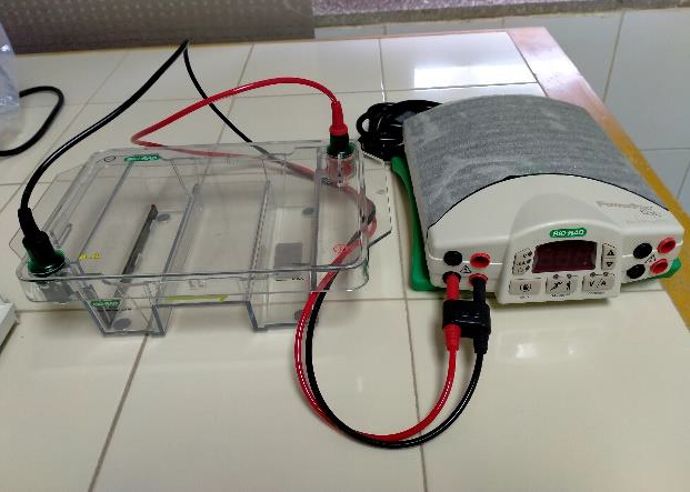 Horizontal Gel electrophoresis unit with power supply