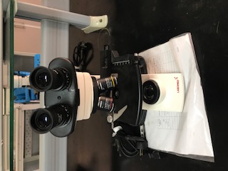 Microscope