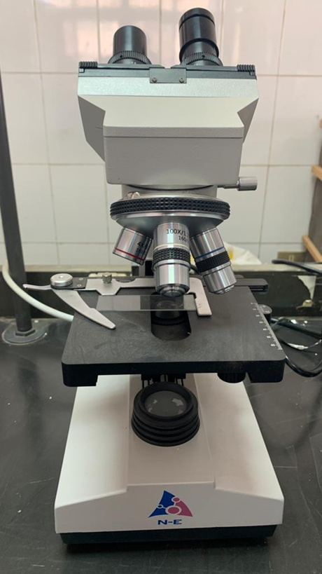 Optical microscope