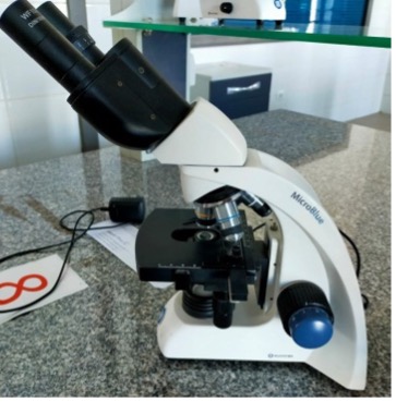 Euromax microscope
