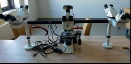 Multiheaded microscope (5 head) with applied camera