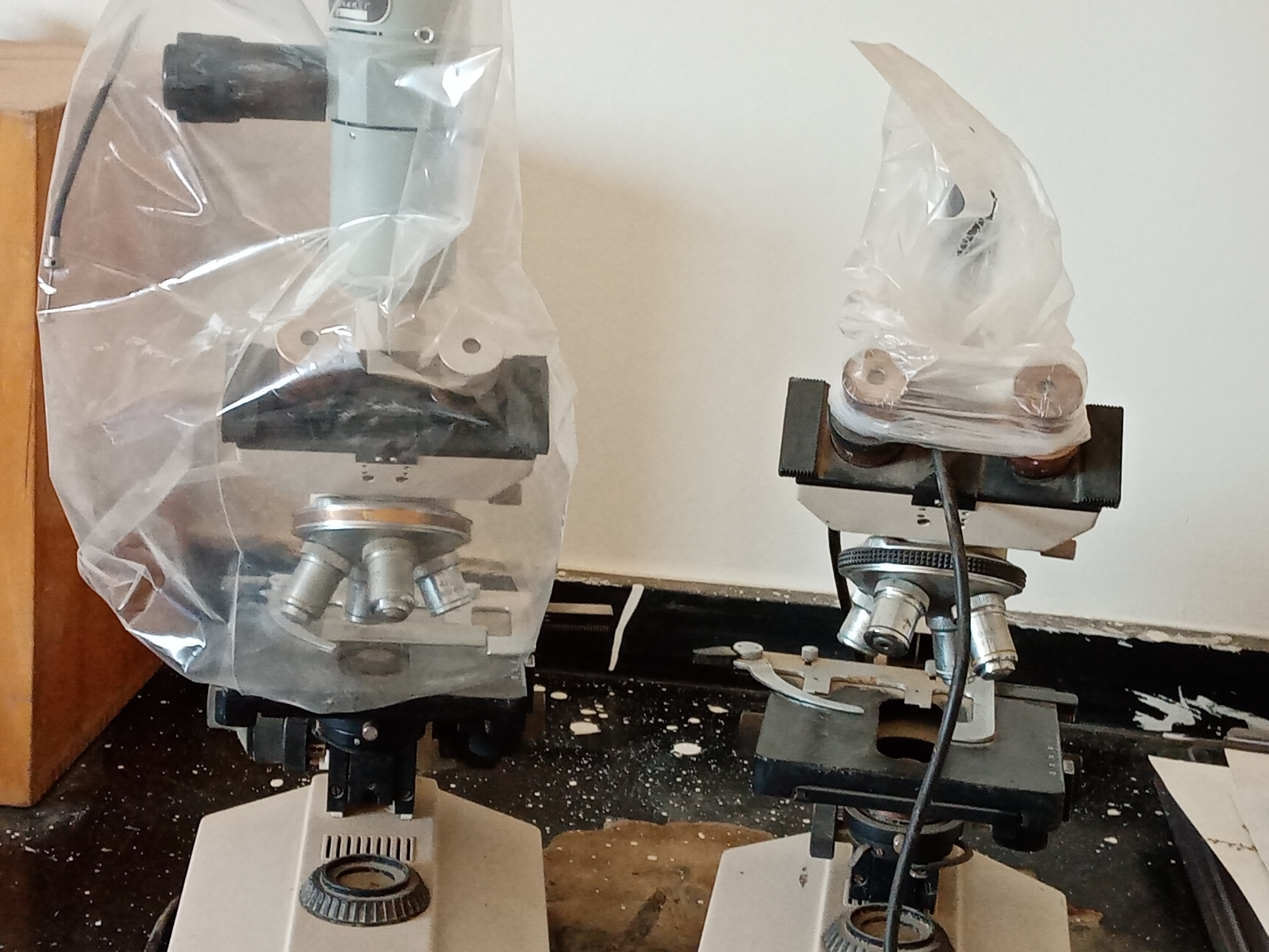 Electric Microscopy