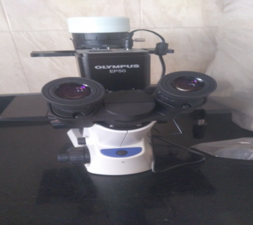 Inverted Microscope
