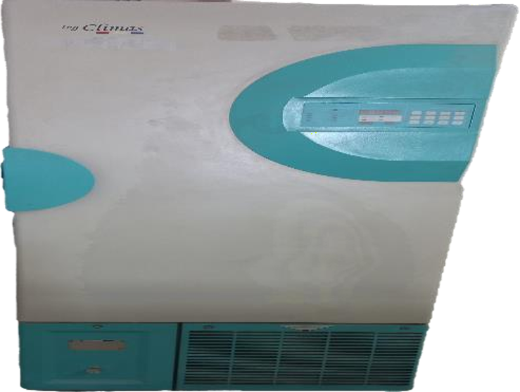 Vertical protein  gel Electrophoresis