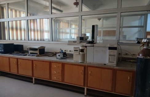 Gas chromatography
