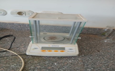 Analytical balance