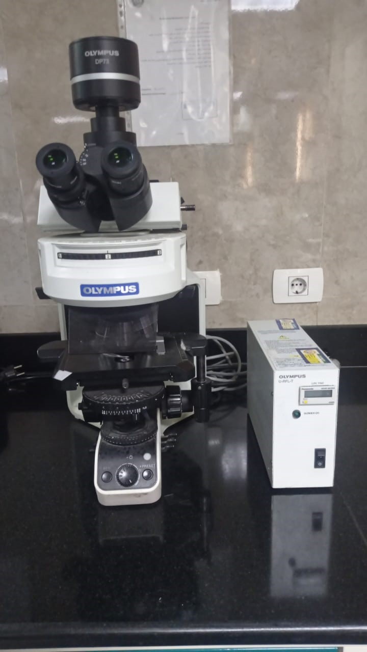 Fluresent Microscop