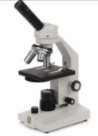 monocular microscope with magnification lenses 10x, 40x and 100x