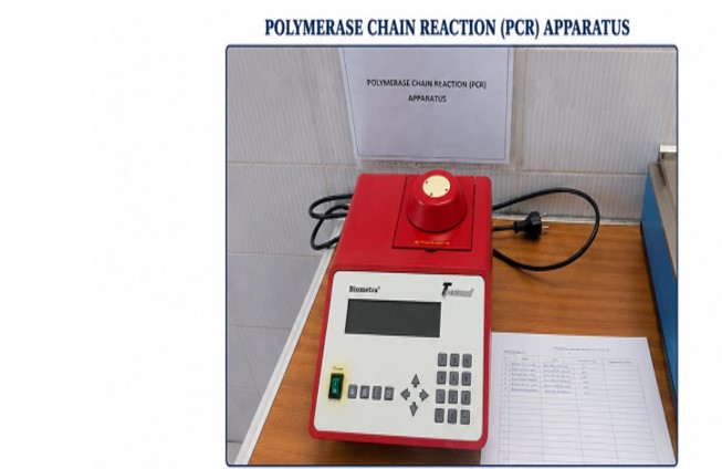 PCR