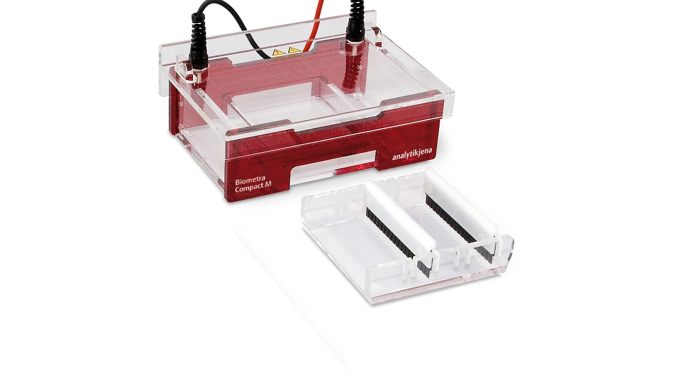 Horizontal Gel electrophoresis