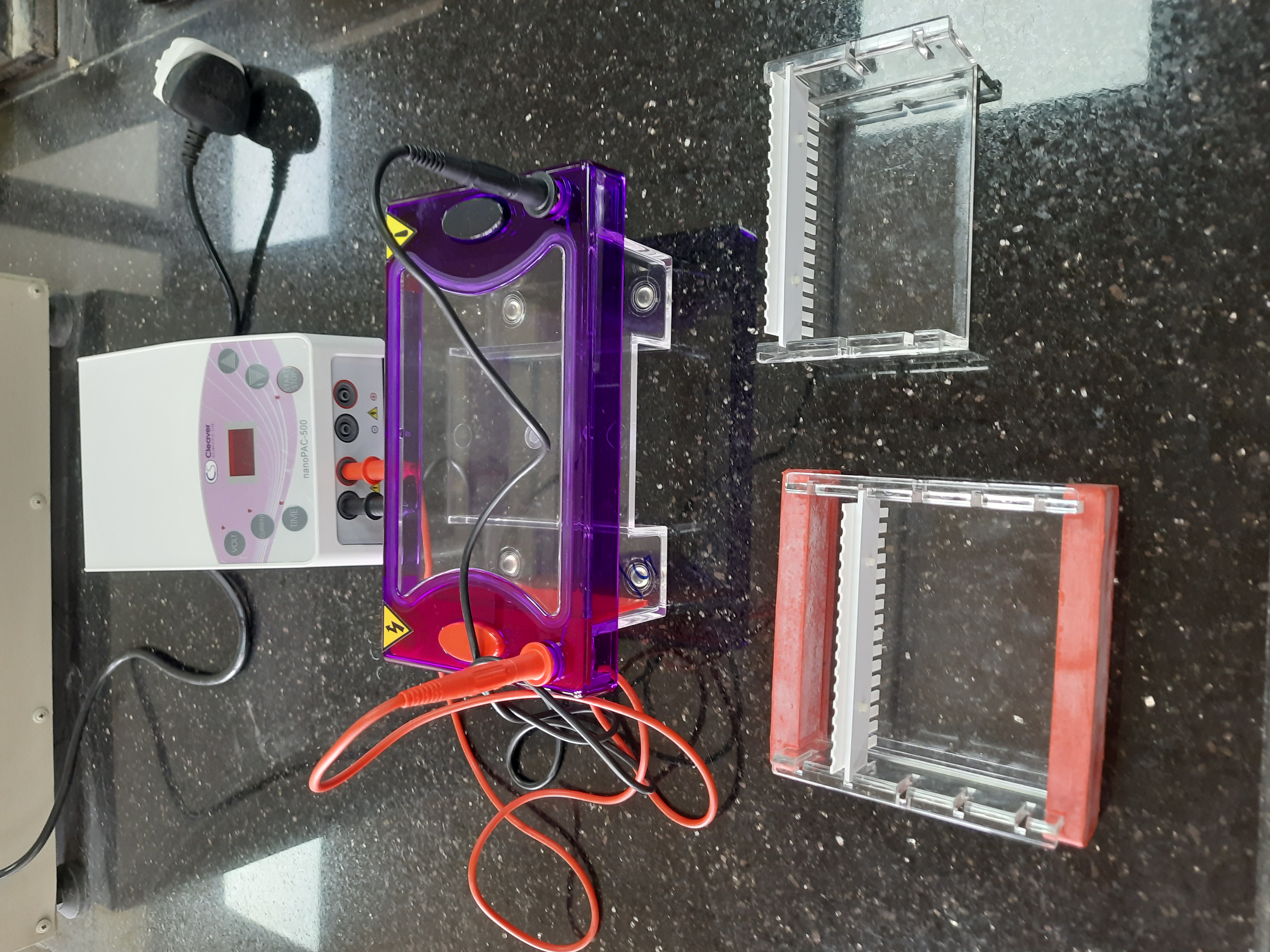 Horizontal gel electrophoresis set