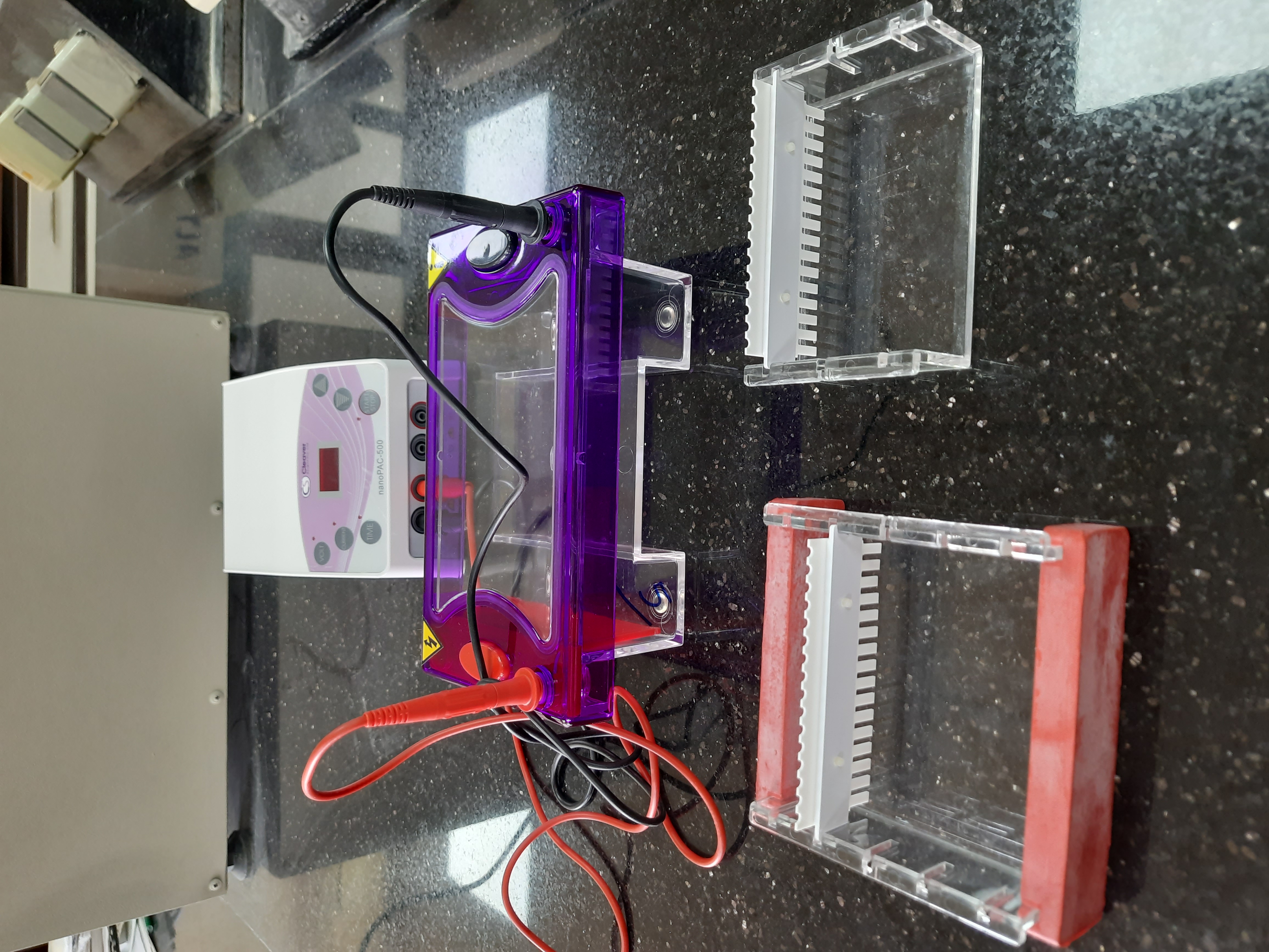 Horizontal gel electrophoresis set