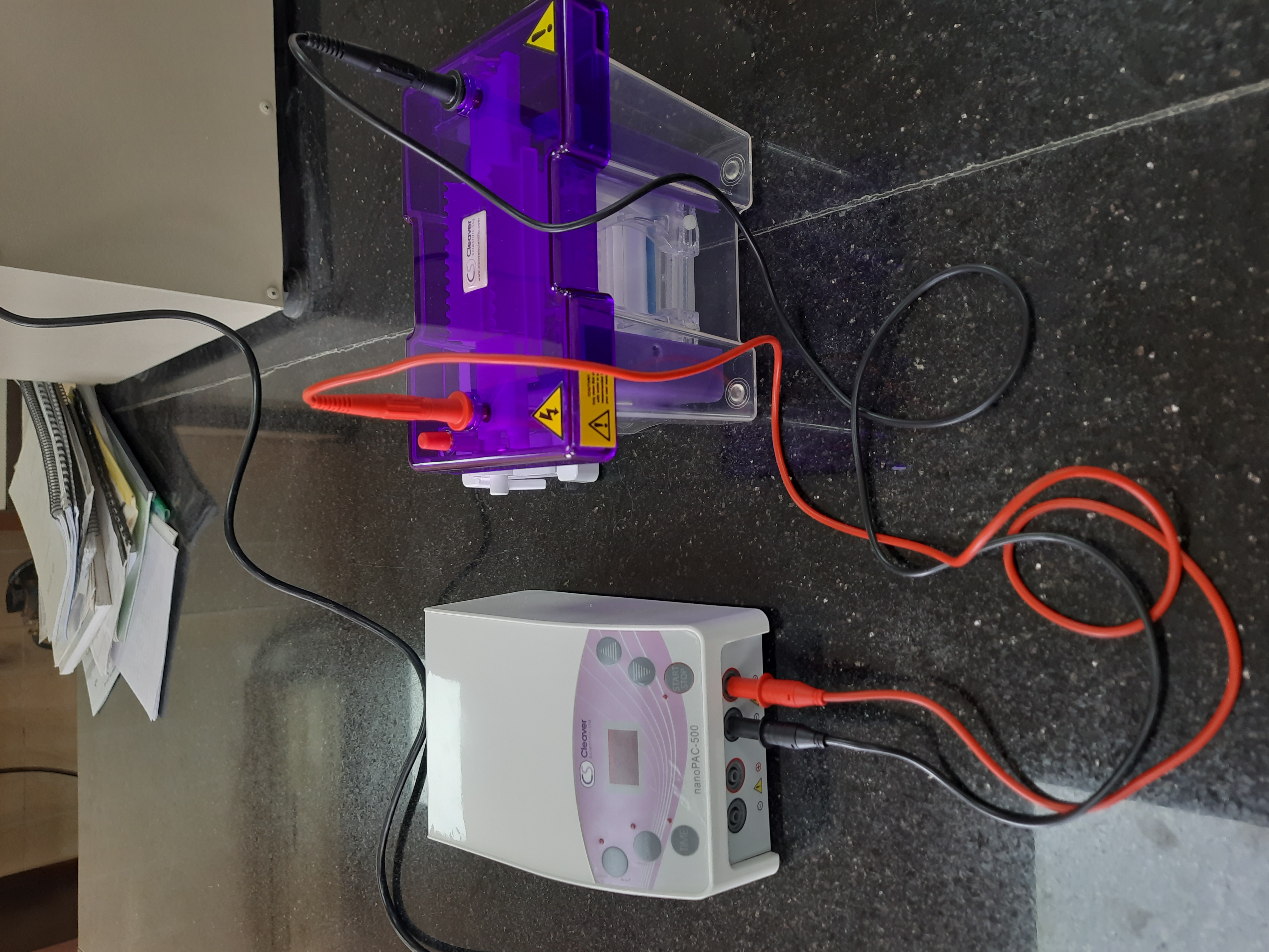 Vertical gel electrophoresis set