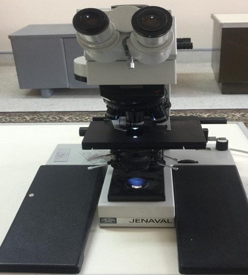 Binocular Microscope