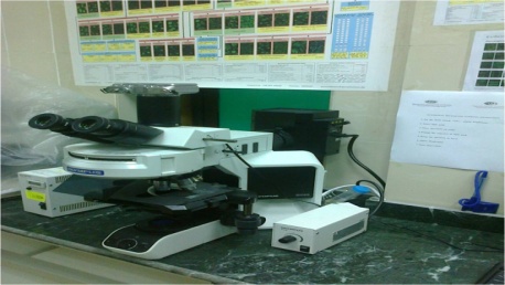 https://nbsle.scu.eg/images/universities/mansoura/Floresent%20microscope.jpg